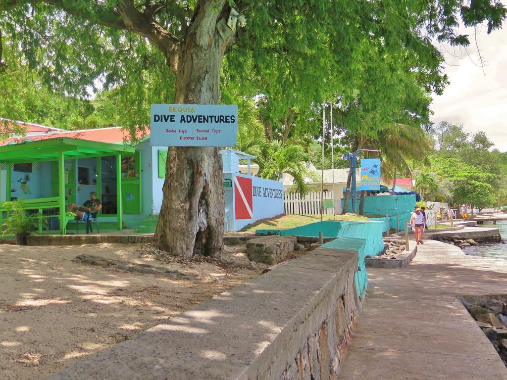 Tropical Hideaway Ξενοδοχείο Πορτ Ελίζαμπεθ Εξωτερικό φωτογραφία